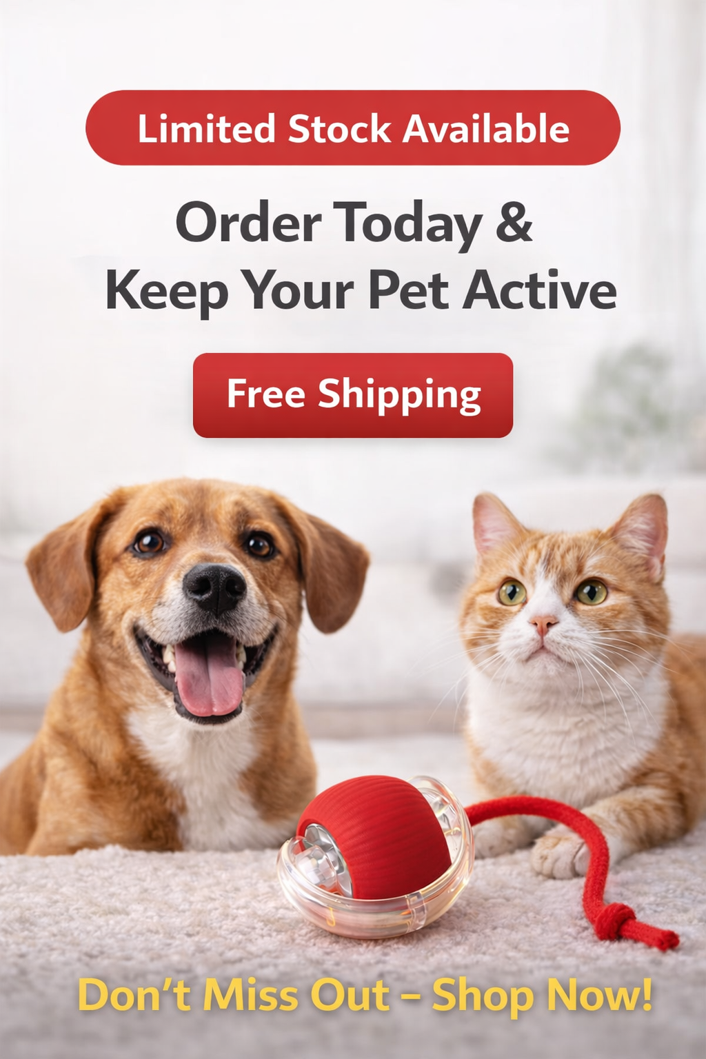 Smart Motion Pet Ball – Keep Your Pet Active, Happy & Entertained